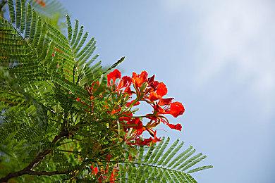 《勇者斗恶龙》创造者堀井雄二获GDC终身成就奖